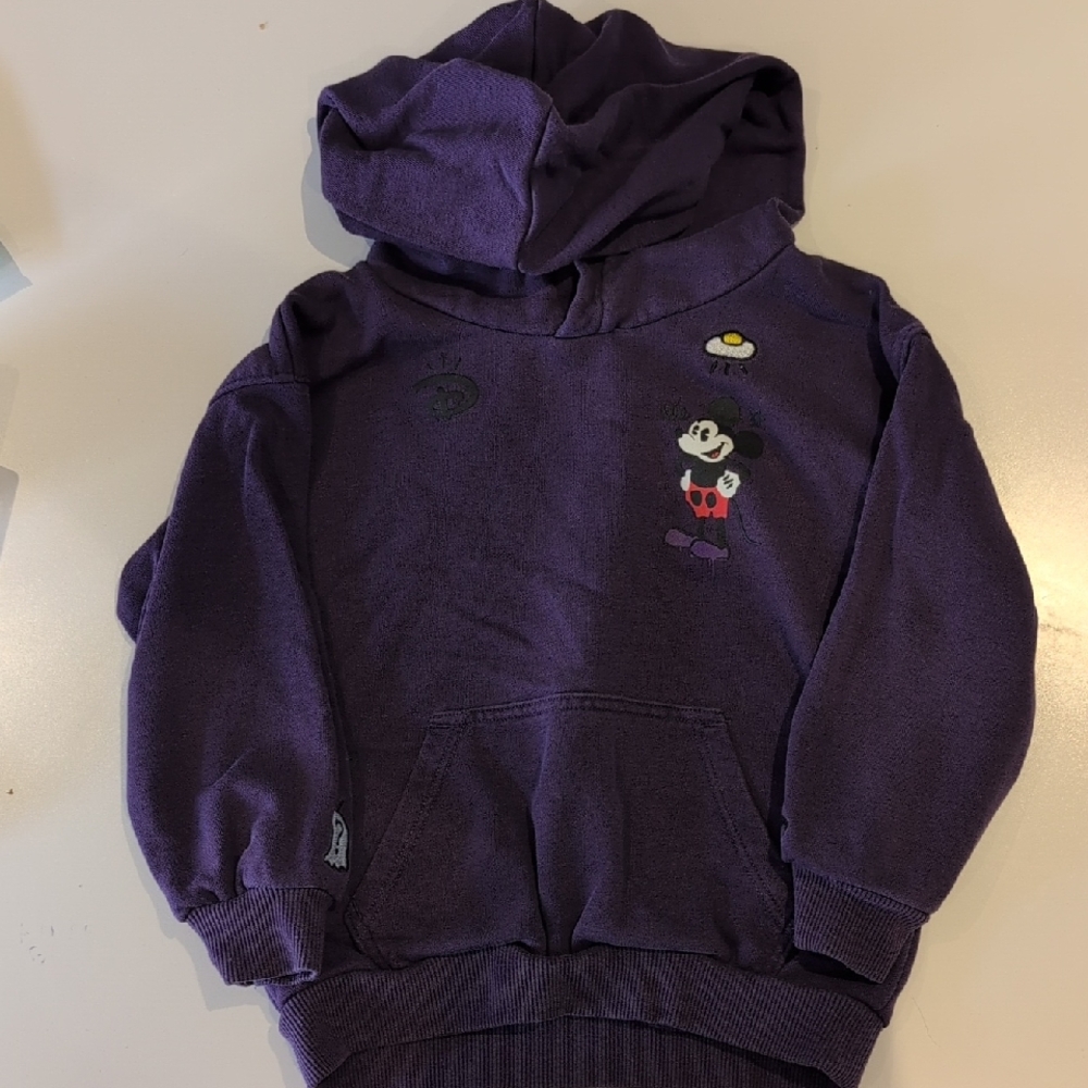 Disney Purple Hoodie with Character Design
